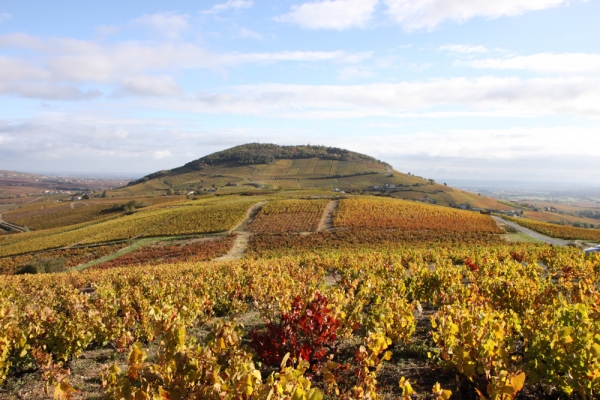 Odenas et son vignoble Odenas Site officiel de la commune